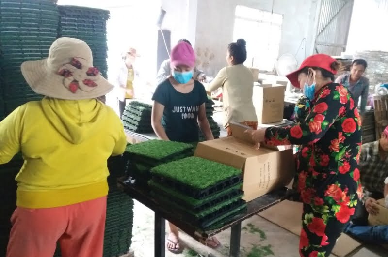 MPL Vietnam gallery photo 6