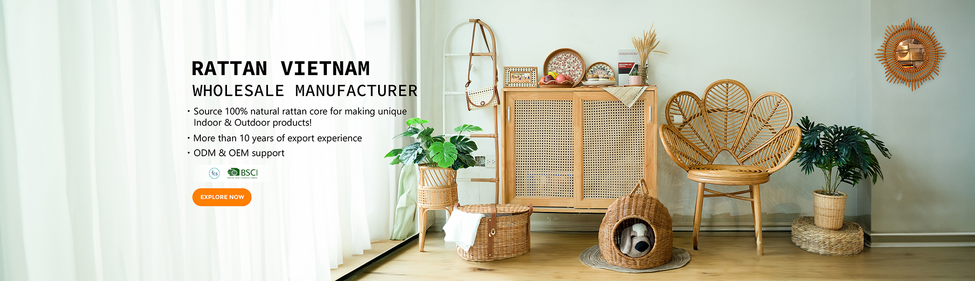 banner web rattan 5 1
