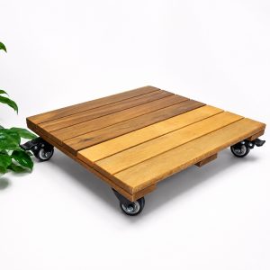 golden acacia plant caddy - product view