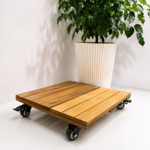 golden acacia plant caddy - lifestyle application