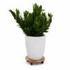 round wooden plant caddy with wheels - product view