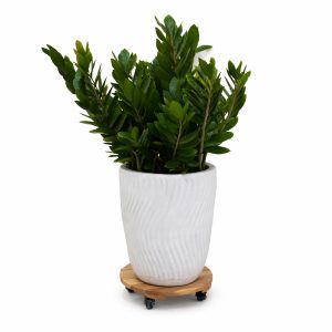 round wooden plant caddy with wheels - product view