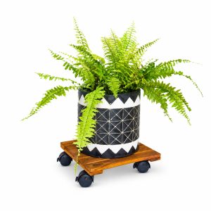 golden acacia plant caddy - craftsmanship detail