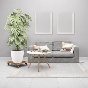 golden acacia plant caddy - customization option