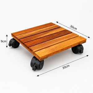 golden acacia plant caddy - lifestyle application