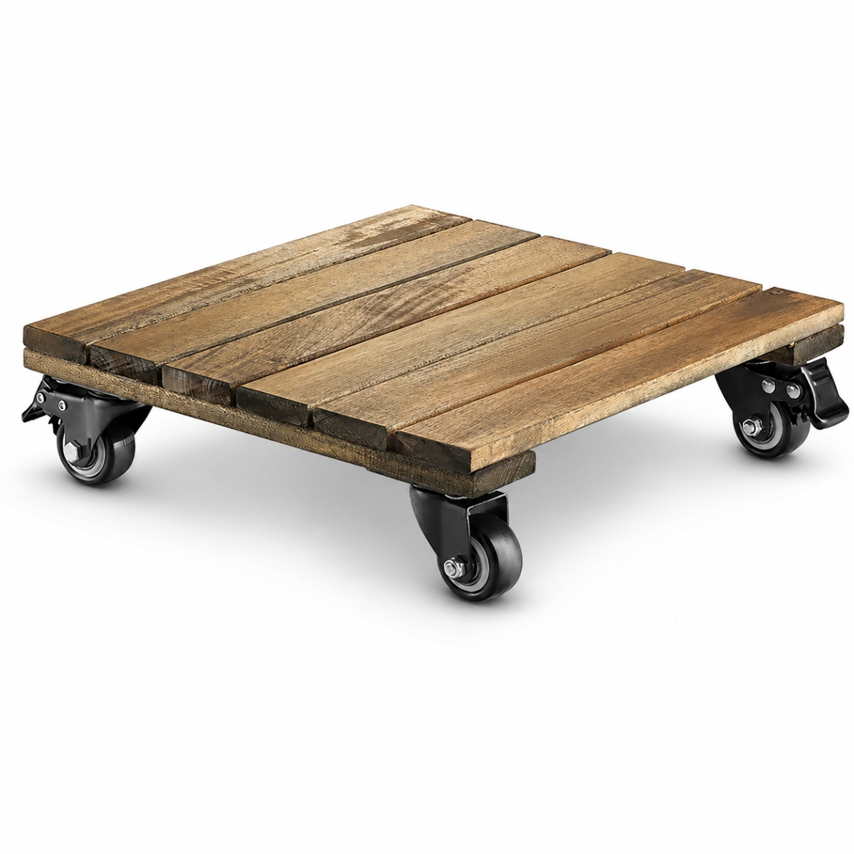 acacia plant caddy - product view acacia plant caddy - product view