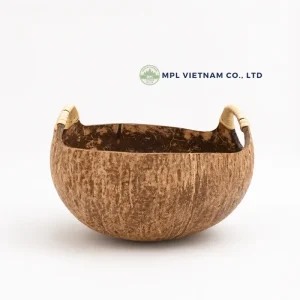 coconut shell bowl with handles - product view