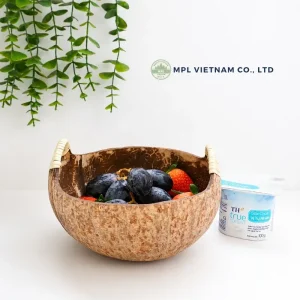 coconut shell bowl with handles - size reference