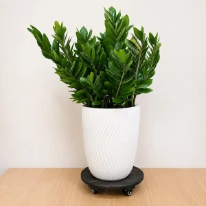 MPL Vietnam round wooden plant caddy with wheels 35cm - product view