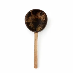 coconut shell ladle with wooden handle front view
