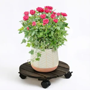 round dark walnut acacia plant caddy - image 7