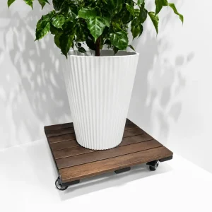 square dark walnut acacia plant caddy - image 7