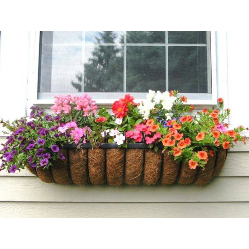 Oval coconut coir planter styling reference beneath a window