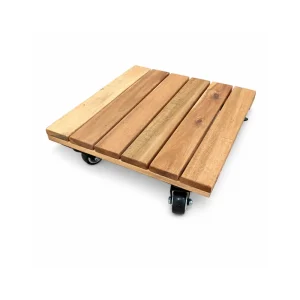 Square golden acacia plant roller with black caster wheels on a white background