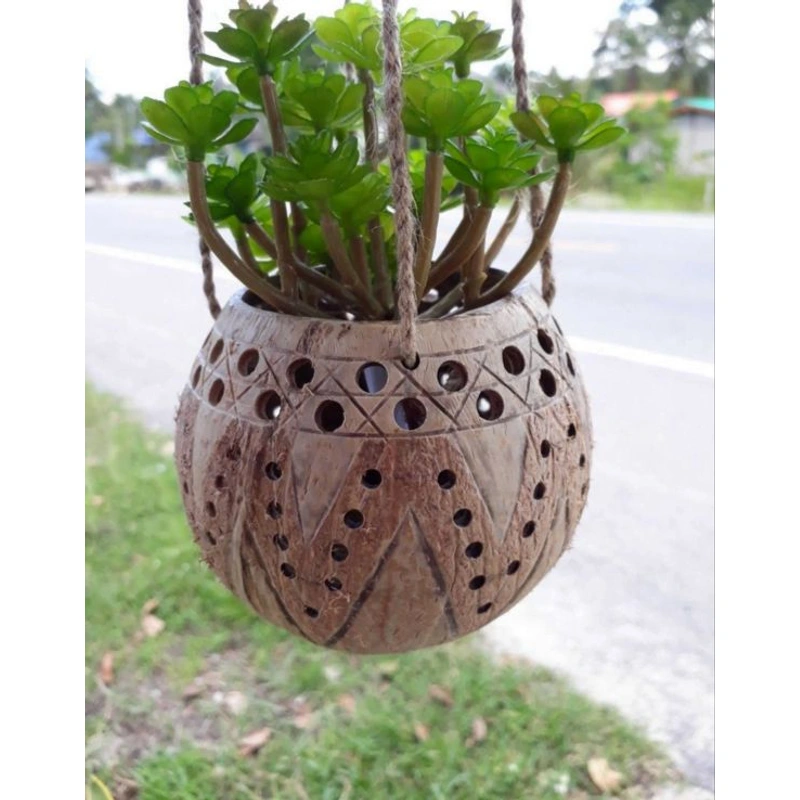 A planted arrangement showing the perforated shell and hanging cords.