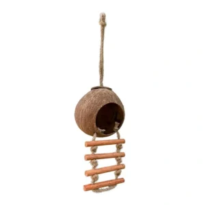 Hanging coconut shell bird house with a four-rung rope ladder
