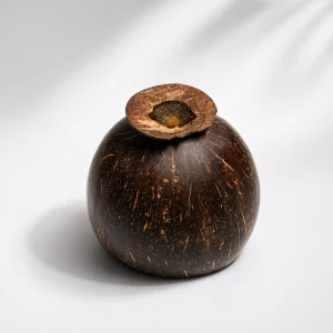 Underside of a coconut shell cup showing the pedestal base