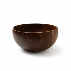Empty smooth coconut shell bowl showing its natural brown surface and rounded rim
