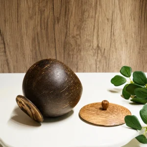 Coconut shell jar base and separate wooden lid