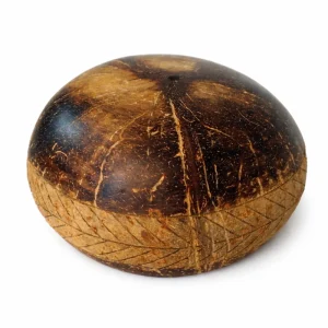 Underside of the rounded coconut shell bowl showing natural grain