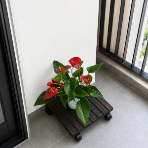Square wooden plant caddy supporting an anthurium near a balcony door