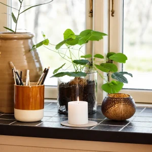 Close view of a wave-pattern coconut holder beside a candle and plants