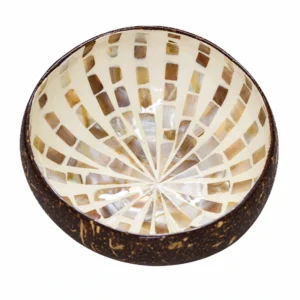 mother of pearl coconut bowl product view