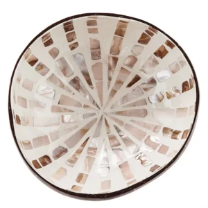 White mother of pearl coconut bowl radial inlay reference viewed from above
