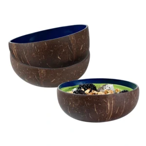 Blue Metallic Lacquer Coconut Bowl 2 Blue Metallic Lacquer Coconut Bowl product family reference photograph