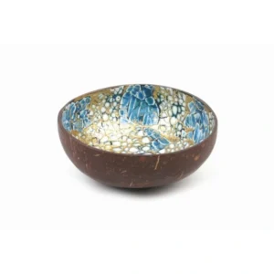 Green Eggshell Inlay Coconut Bowl product family reference photograph