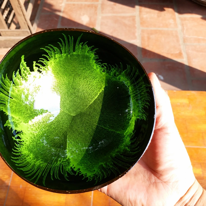 Green Radial Lacquer Coconut Bowl 3 Green lacquer group reference with a feather-like effect; its pattern differs from the featured radial design.