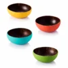 Colourful Exterior Lacquer Coconut Bowls 6 colourful exterior lacquer coconut bowls product view