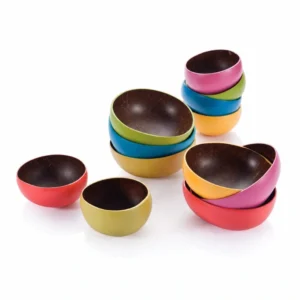 Colourful Exterior Lacquer Coconut Bowls additional product view