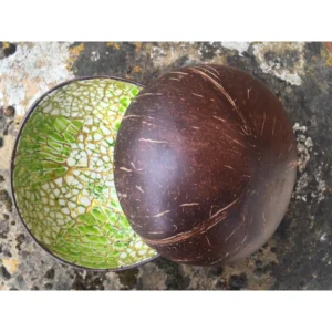 Green Gold Eggshell Coconut Bowl 2 Green Gold Eggshell Coconut Bowl reference photograph. Green and gold-coloured eggshell coconut bowl reference; handmade shell outlines and fragment placement vary. Fruit and leaves are styling props.
