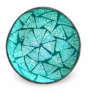 turquoise geometric eggshell coconut bowl product view
