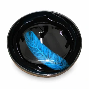 painted feather lacquer coconut bowl product view