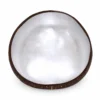 silver metallic lacquer coconut bowl product view