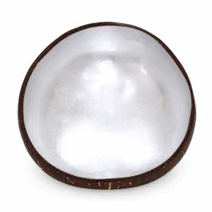 silver metallic lacquer coconut bowl product view