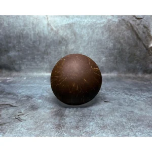 Silver Metallic Lacquer Coconut Bowl reference photograph. Silver-coloured lacquer coconut bowl reference; shell outlines and reflections vary. The collection photograph also includes separate blue, copper and gold-coloured finishes.