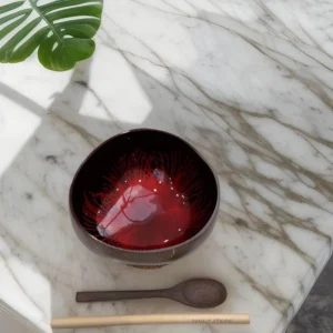 Red Feather Effect Coconut Bowl reference photograph. Red feather-effect lacquer coconut bowl reference. Handmade shell outlines and pattern placement vary; spoon, tray and plants are styling props.