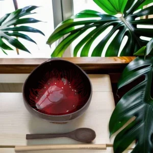 Red Feather Effect Coconut Bowl reference photograph. Red feather-effect lacquer coconut bowl reference. Handmade shell outlines and pattern placement vary; spoon, tray and plants are styling props.