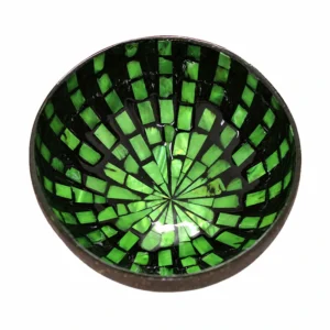 Green colour reference for radial pearl coconut bowl