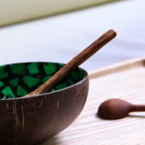 Green Fragment Pearl Coconut Bowl 2 Green Fragment Pearl Coconut Bowl additional product photograph
