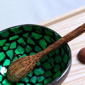 Green Fragment Pearl Coconut Bowl 3 Green Fragment Pearl Coconut Bowl additional product photograph
