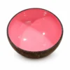 pink interior lacquer coconut bowl product view