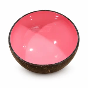 pink interior lacquer coconut bowl product view