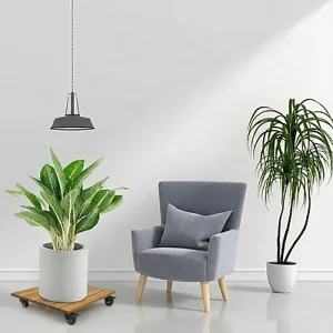 Wooden plant caddy carrying a potted plant in a living room