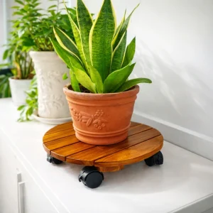 Golden acacia plant caddy supporting a terracotta planter in a bright interior
