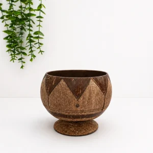 Hand-carved footed coconut bowl beside trailing greenery