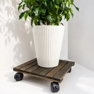 Square dark acacia plant caddy holding a tall white planter indoors